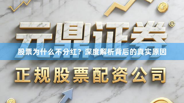 股票为什么不分红？深度解析背后的真实原因