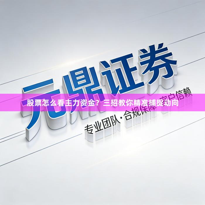 股票怎么看主力资金？三招教你精准捕捉动向