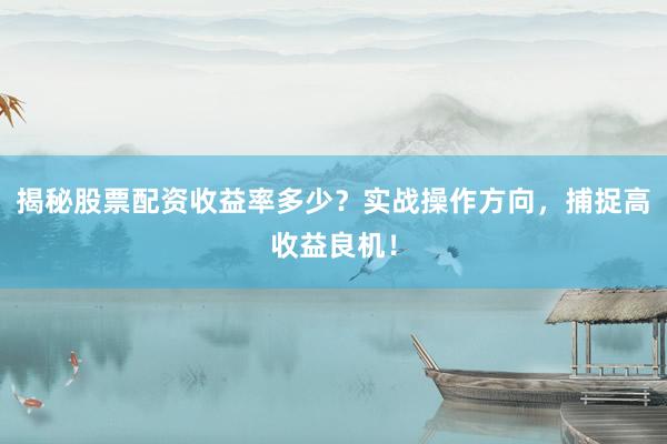 揭秘股票配资收益率多少？实战操作方向，捕捉高收益良机！
