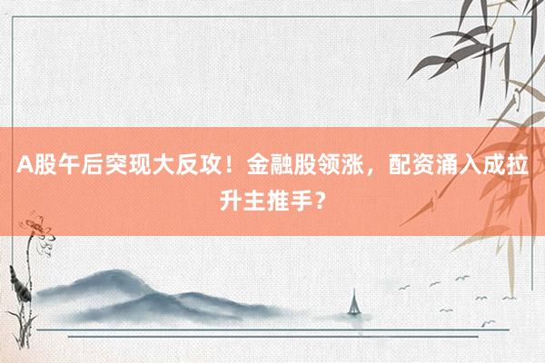 A股午后突现大反攻！金融股领涨，配资涌入成拉升主推手？