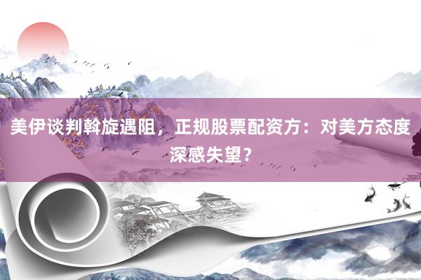 美伊谈判斡旋遇阻，正规股票配资方：对美方态度深感失望？