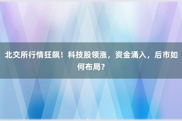 北交所行情狂飙！科技股领涨，资金涌入，后市如何布局？