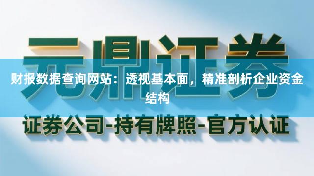 财报数据查询网站:透视基本面,精准剖析企业资金结构
