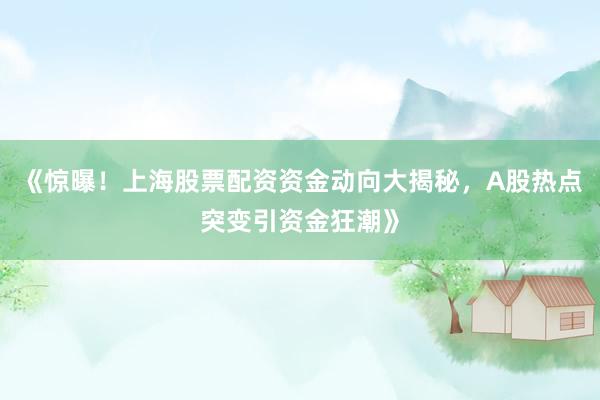 《惊曝!上海股票配资资金动向大揭秘,A股热点突变引资金狂潮》