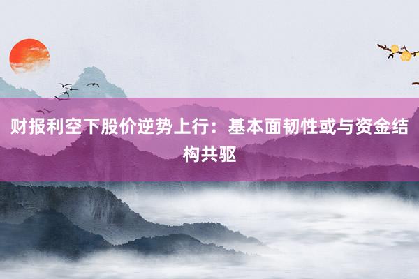 财报利空下股价逆势上行：基本面韧性或与资金结构共驱