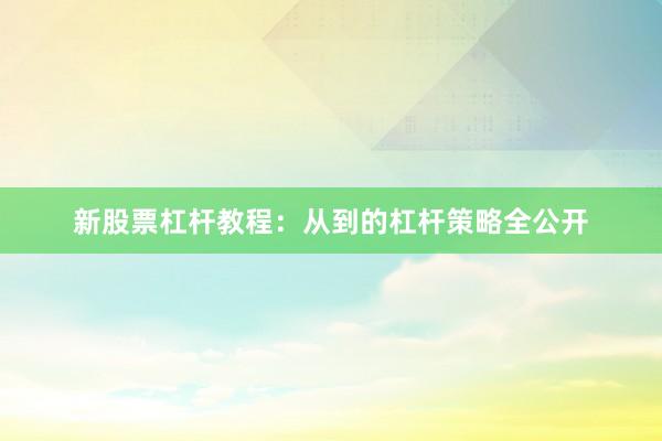 新股票杠杆教程：从到的杠杆策略全公开