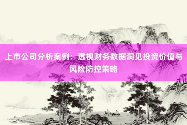 上市公司分析案例：透视财务数据洞见投资价值与风险防控策略