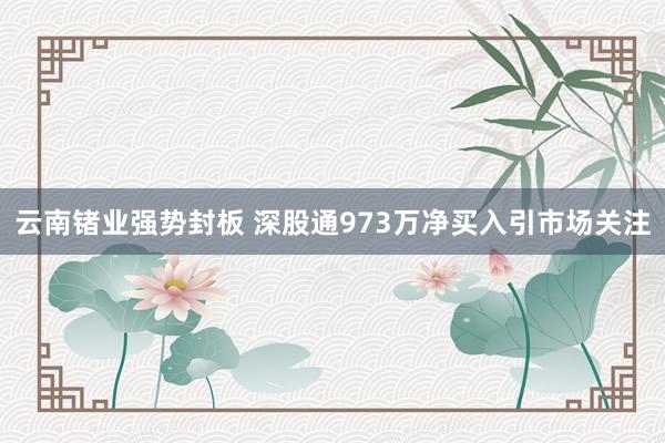 云南锗业强势封板 深股通973万净买入引市场关注