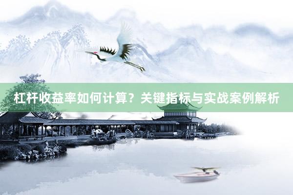 杠杆收益率如何计算？关键指标与实战案例解析