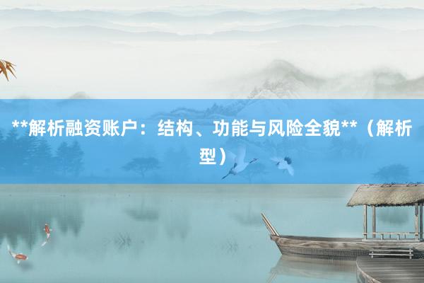 **解析融资账户：结构、功能与风险全貌**（解析型）