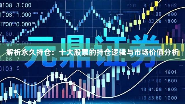 解析永久持仓：十大股票的持仓逻辑与市场价值分析