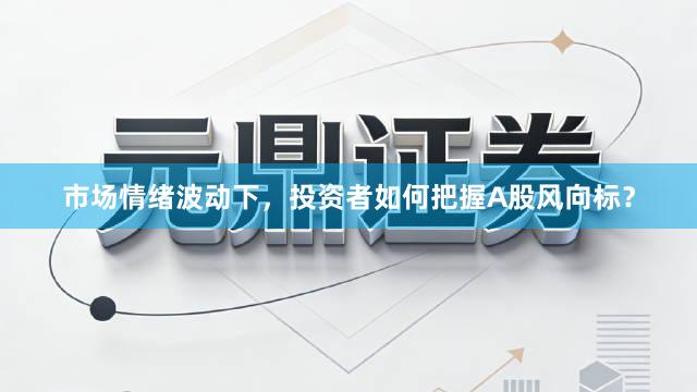 市场情绪波动下,投资者如何把握A股风向标?