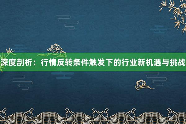 深度剖析：行情反转条件触发下的行业新机遇与挑战