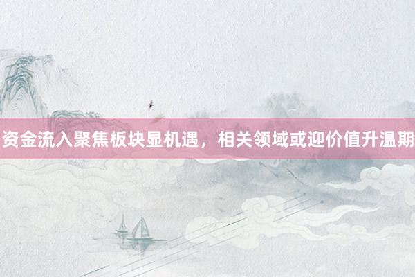 资金流入聚焦板块显机遇，相关领域或迎价值升温期