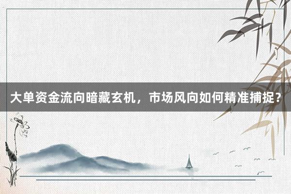 大单资金流向暗藏玄机，市场风向如何精准捕捉？