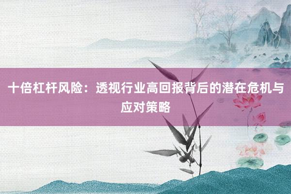 十倍杠杆风险：透视行业高回报背后的潜在危机与应对策略