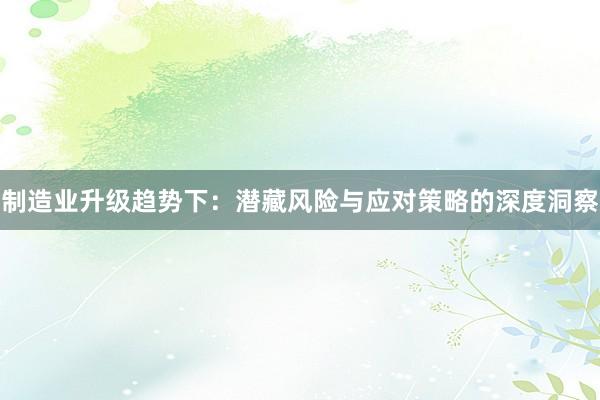 制造业升级趋势下：潜藏风险与应对策略的深度洞察