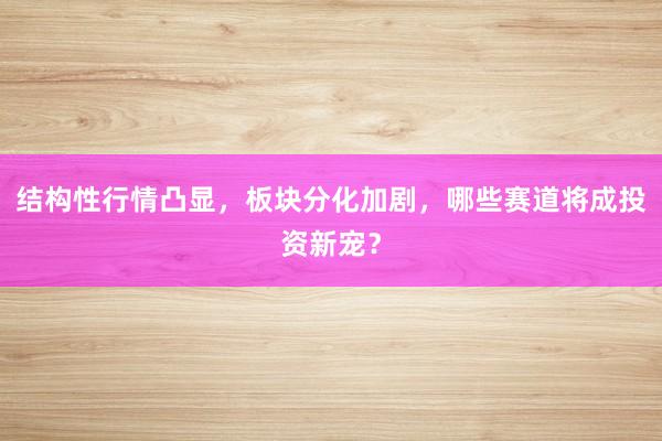 结构性行情凸显，板块分化加剧，哪些赛道将成投资新宠？