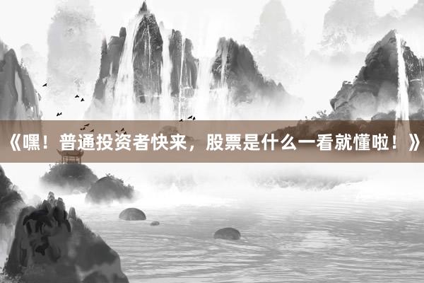 《嘿！普通投资者快来，股票是什么一看就懂啦！》