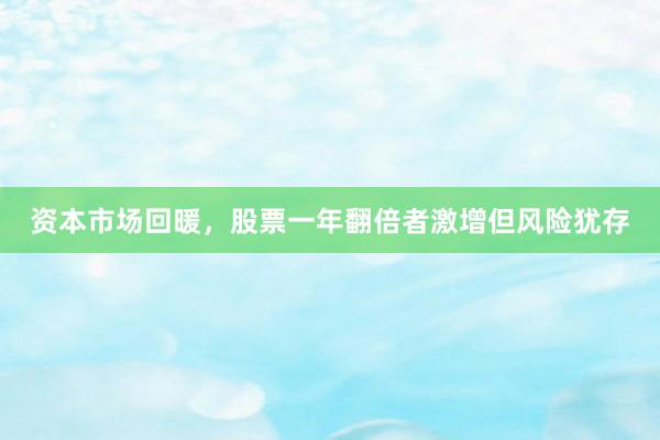资本市场回暖，股票一年翻倍者激增但风险犹存