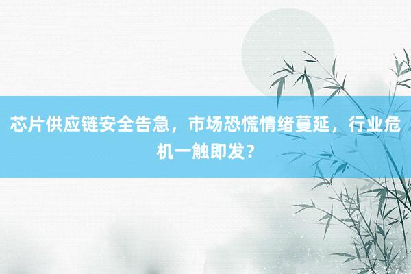 芯片供应链安全告急,市场恐慌情绪蔓延,行业危机一触即发?
