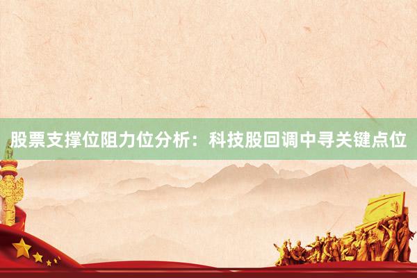 股票支撑位阻力位分析：科技股回调中寻关键点位